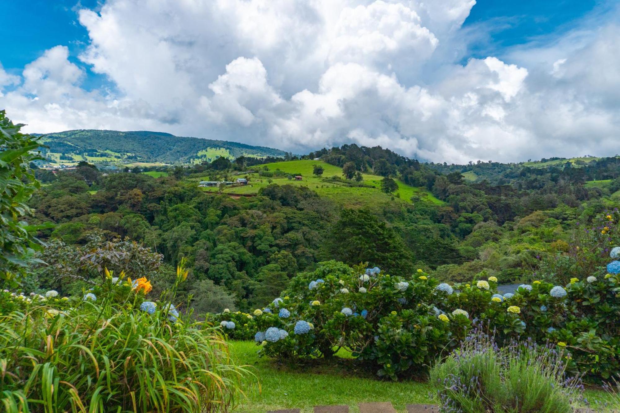 Quinta Esencia Villa Alajuela Kültér fotó