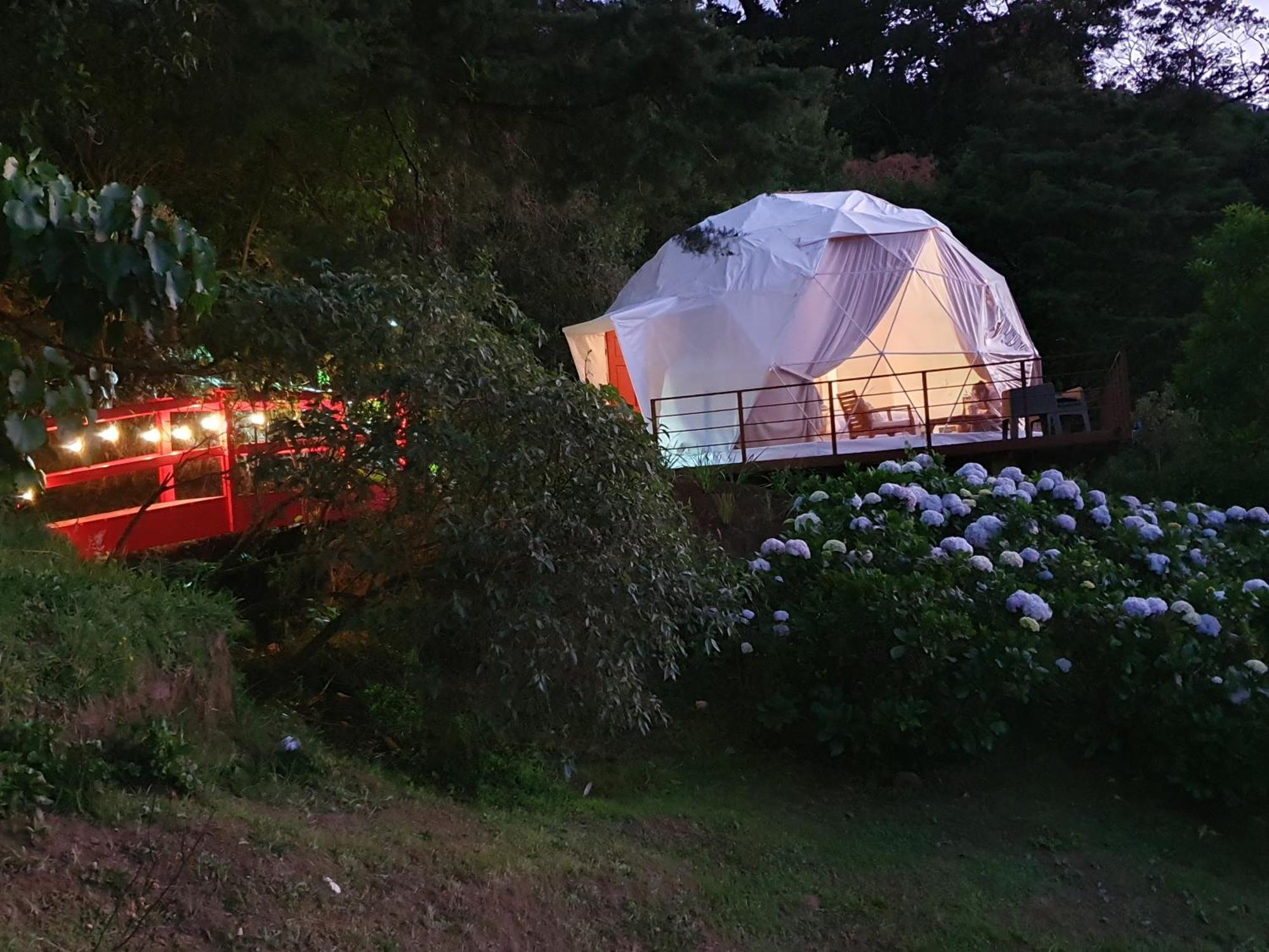 Quinta Esencia Villa Alajuela Kültér fotó