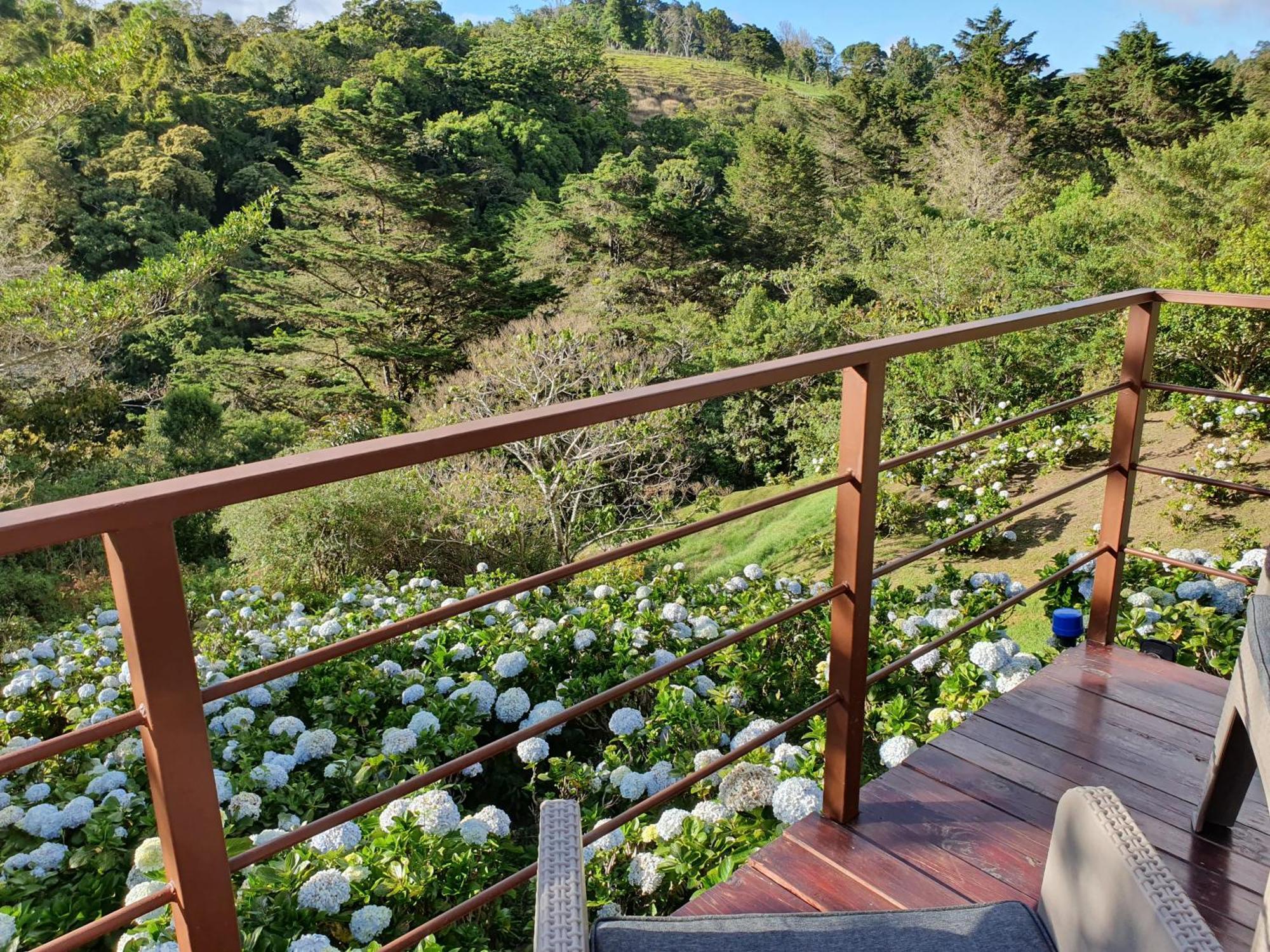 Quinta Esencia Villa Alajuela Kültér fotó