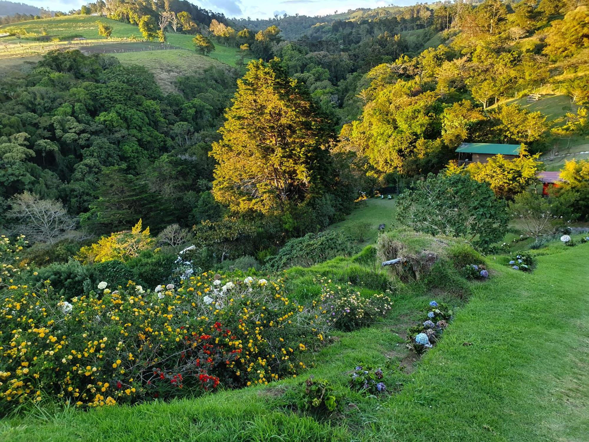 Quinta Esencia Villa Alajuela Kültér fotó