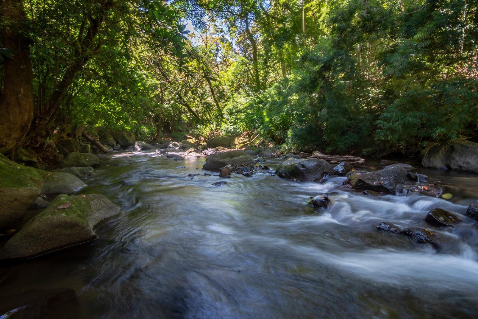 Quinta Esencia Villa Alajuela Kültér fotó