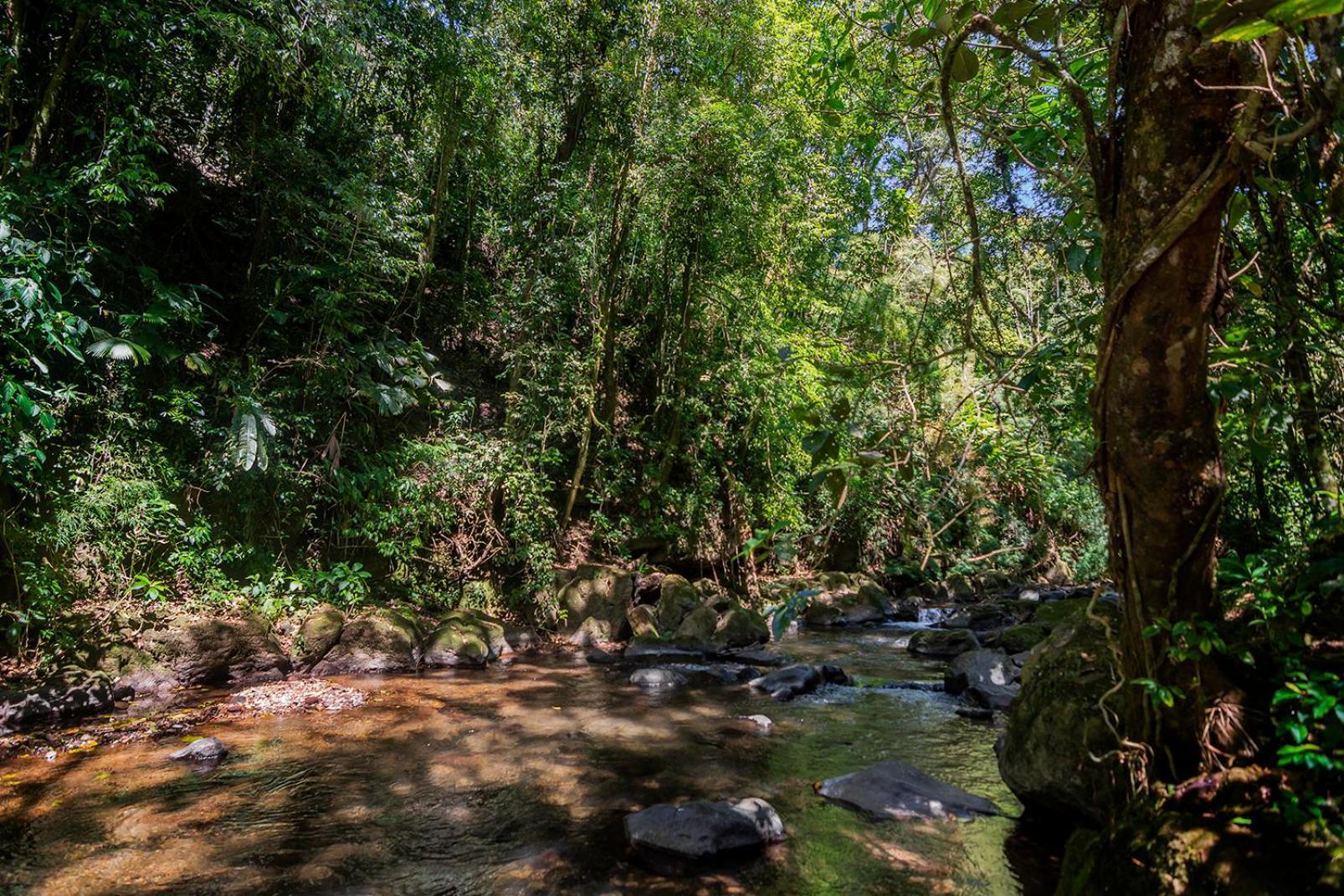 Quinta Esencia Villa Alajuela Kültér fotó